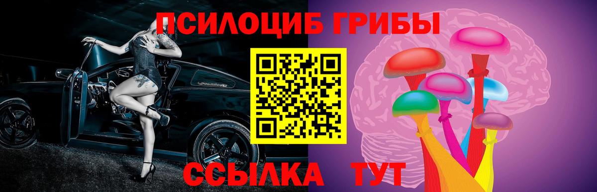 Псилоцибиновые грибы ЛСД  Псилоцибиновые грибы ЛСД  Вход с VPN  где купить наркоту  Мирный 